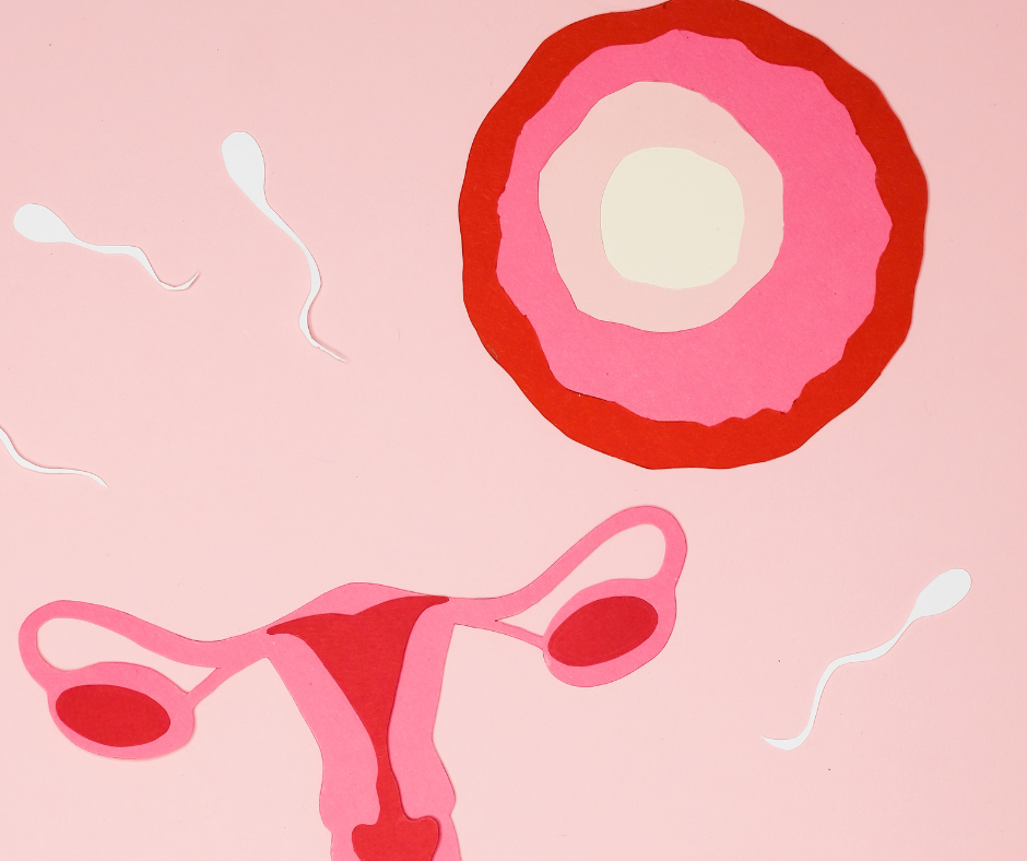 How does acupuncture help fertility spring fertility